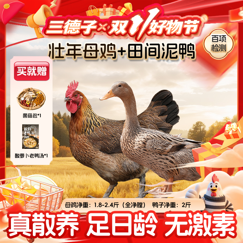 三德子【鸡鸭组合】壮年母鸡+田间泥鸭生态散养煲汤农家散养土鸡