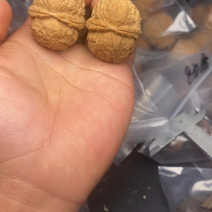 吊坠文玩核桃       100