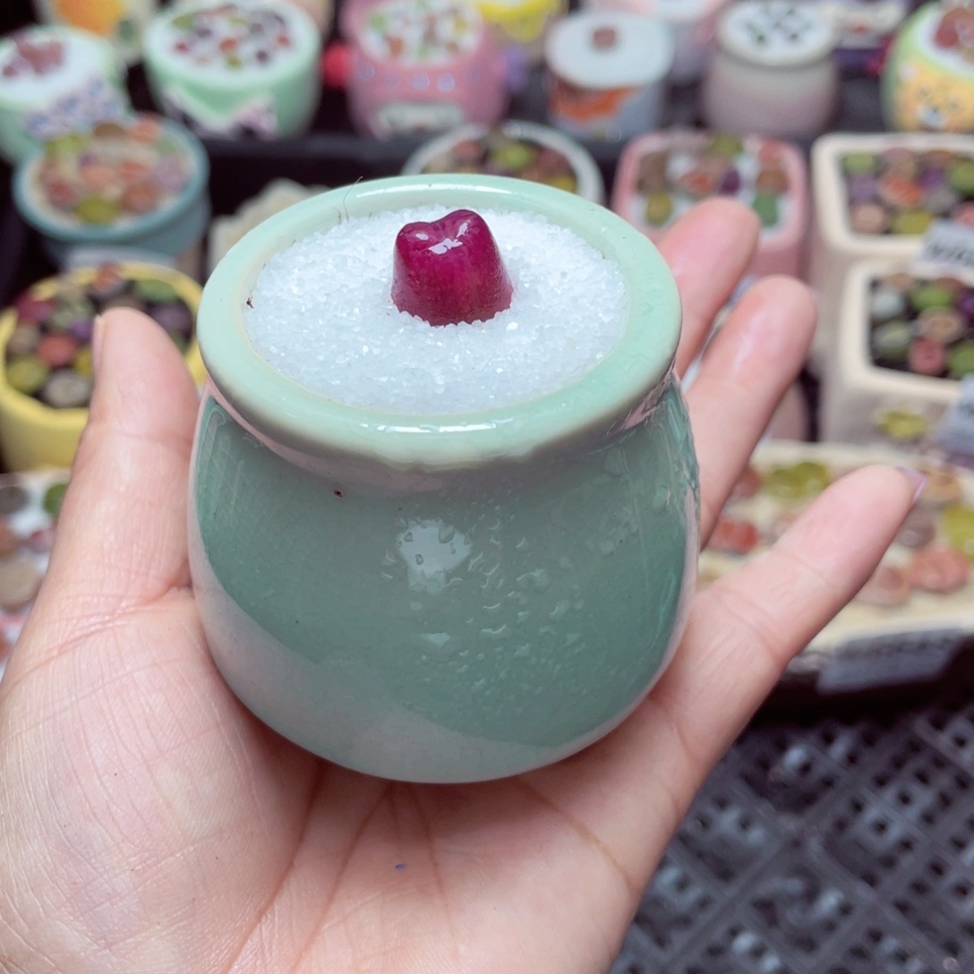 w6647 -零下地区拍保温箱-15支持寄养