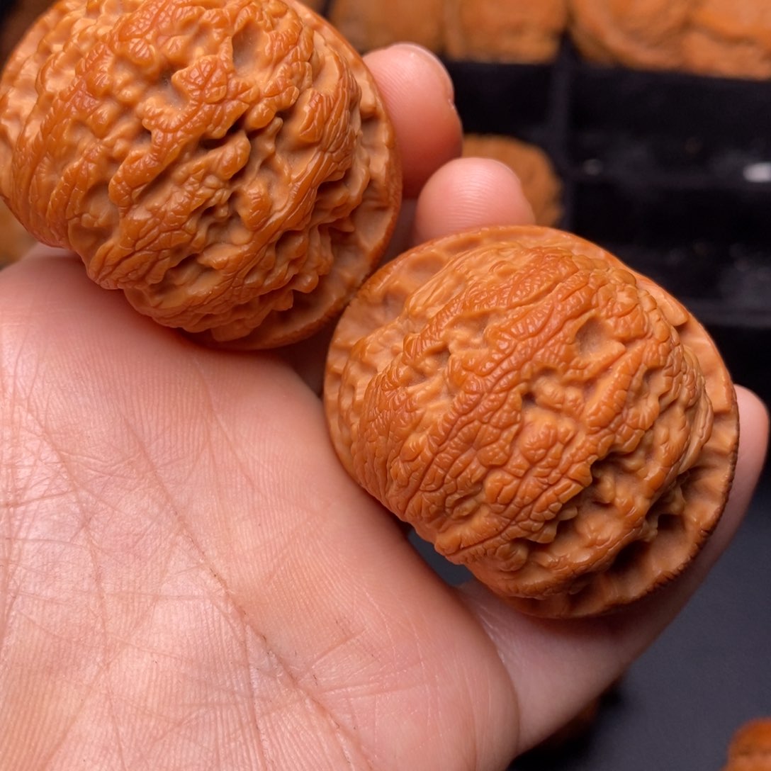 秦岭野生文玩核桃