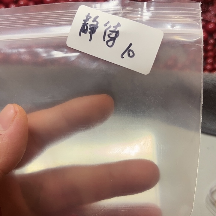 大果紫檀（缅甸花梨）