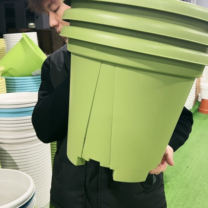 清仓青山口40高34果绿色3只无托