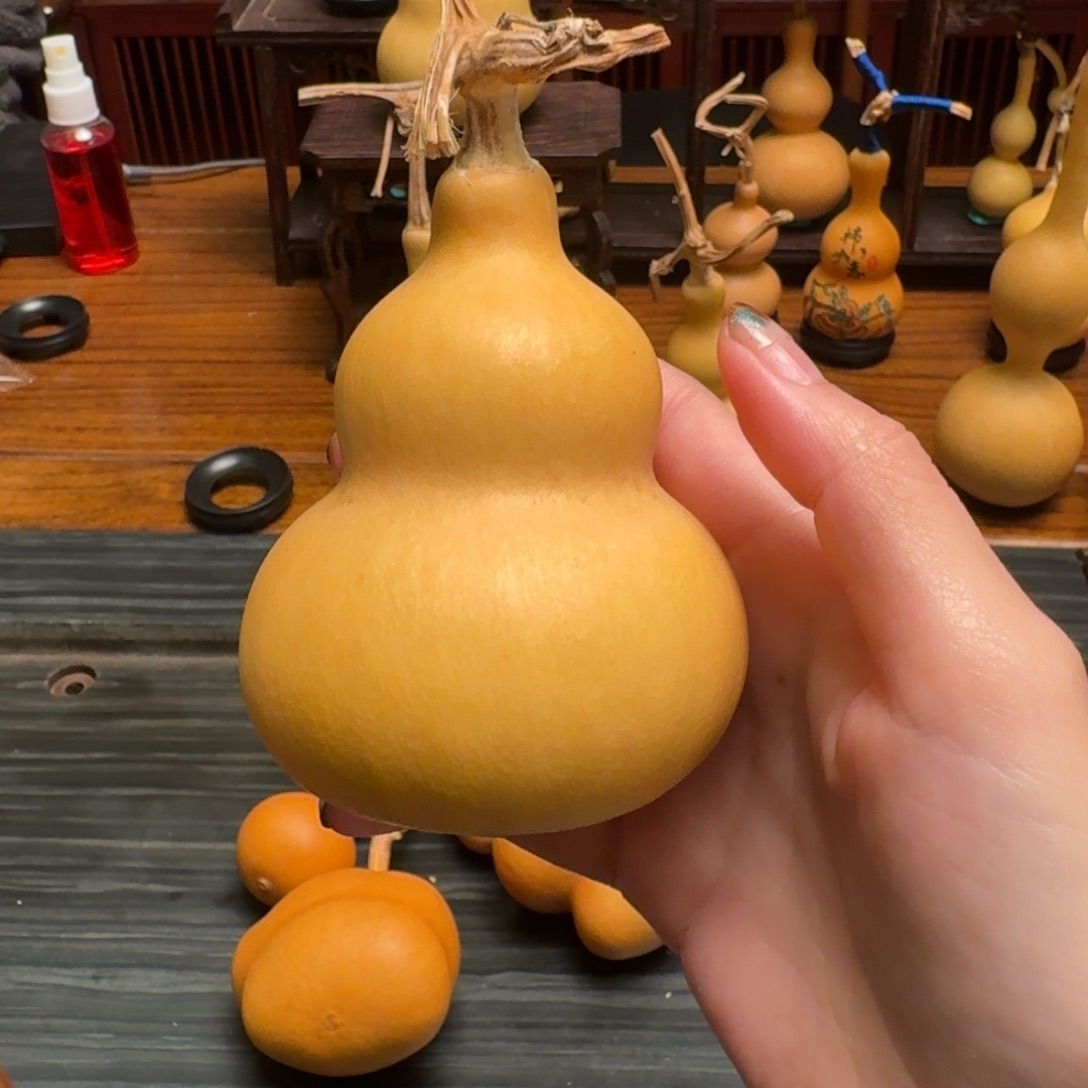 *****葫芦葫芦葫芦葫芦