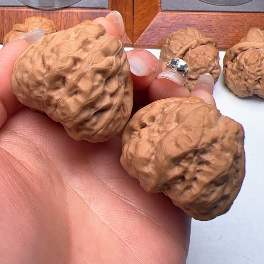 文玩核桃把件蛤蟆40丽