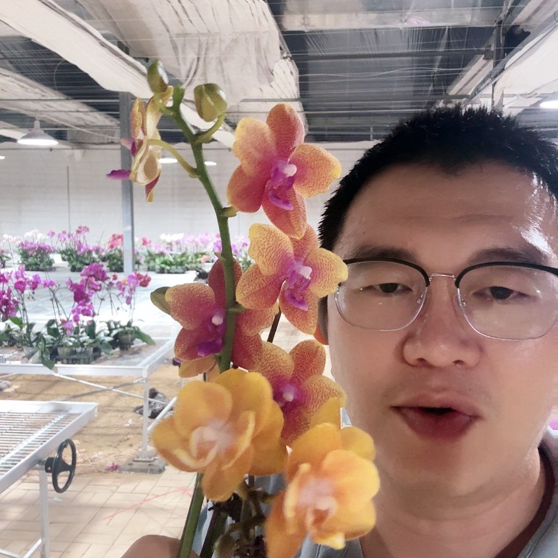 完全开放拉斯维加斯➕香恋