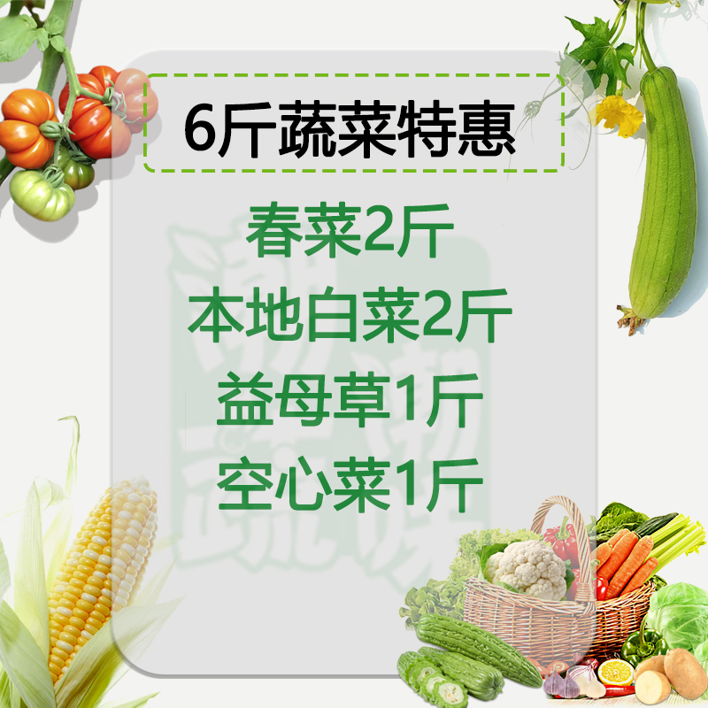 特惠【潮蔬潮味】B号当季新鲜菜春菜本地白菜益母草空心菜6斤装