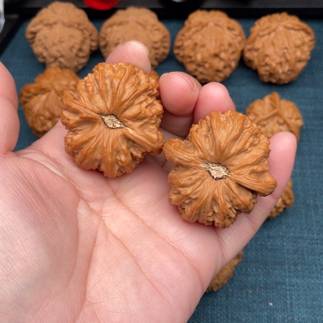 文玩核桃把件全品凹底大眼睛白狮子42