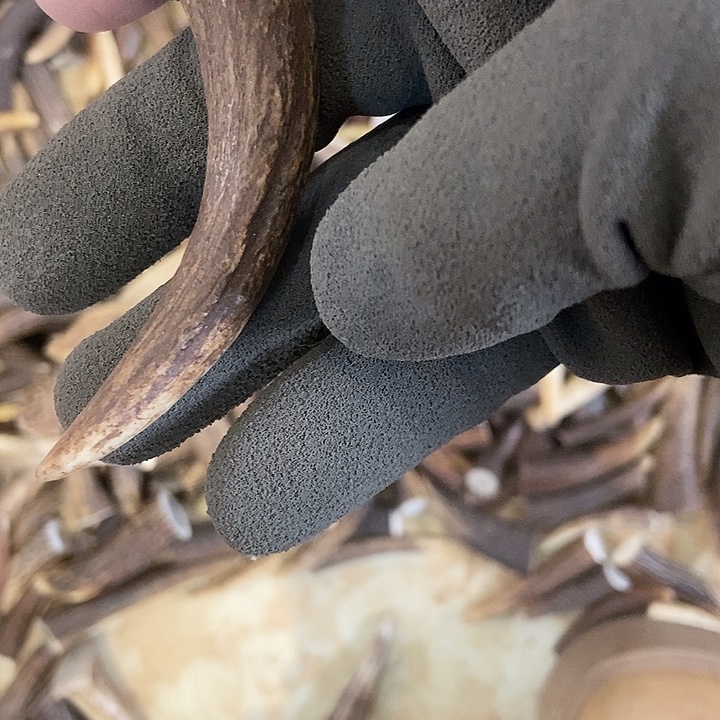 兴***旺大叶紫檀（黑酸枝木类）sbj