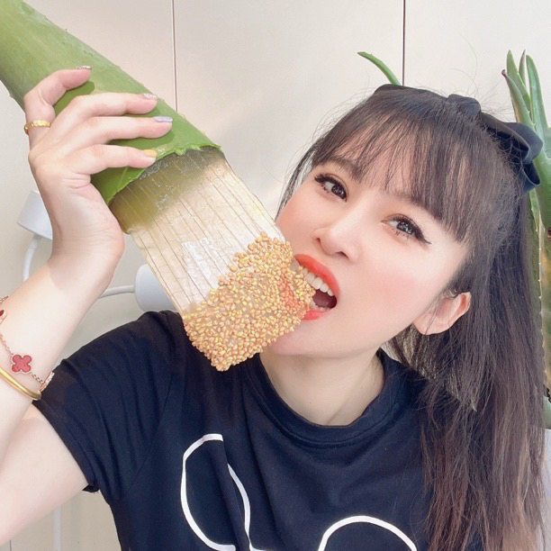 芦荟美容专用库拉索芦荟盆栽新鲜生吃多肉植物灌肤补水叶片