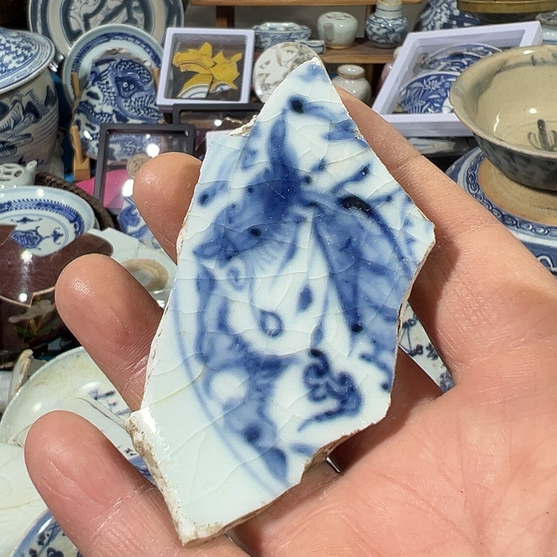 瓷片瓷片标本，全场包邮