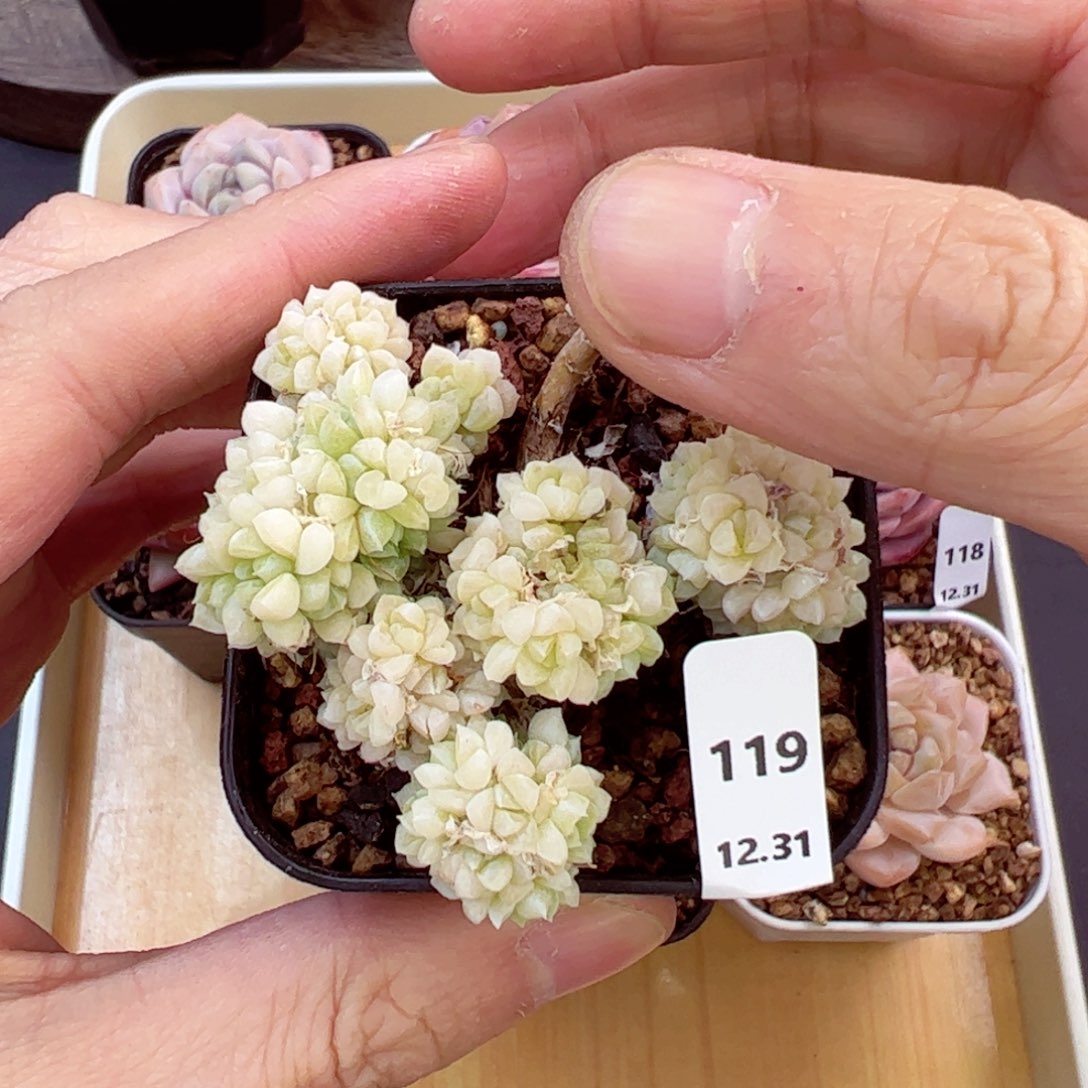 好好看119、哈哈哈哈