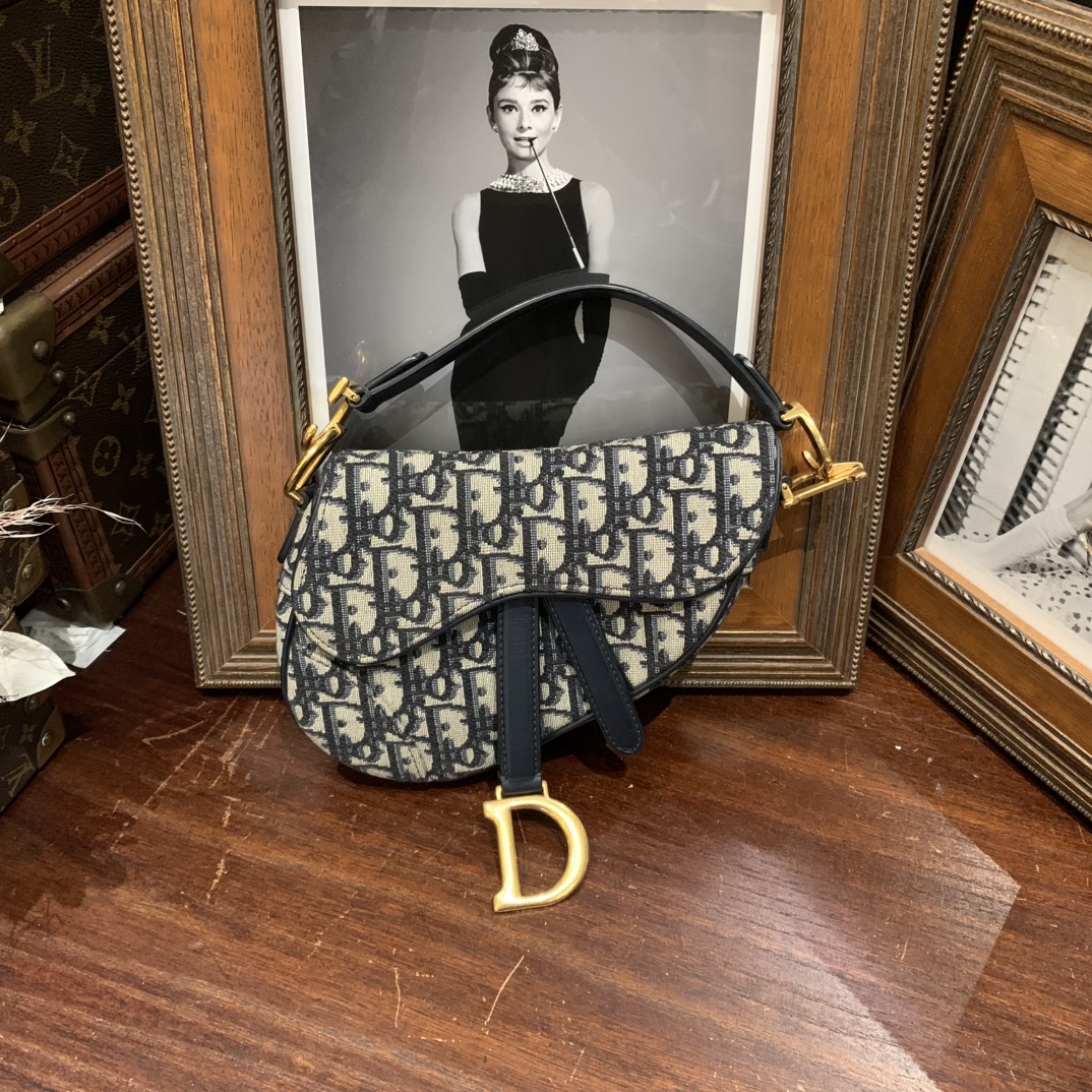 95新 DIOR/迪奥 Dior迪奥 老花马鞍包 小号/sp22293