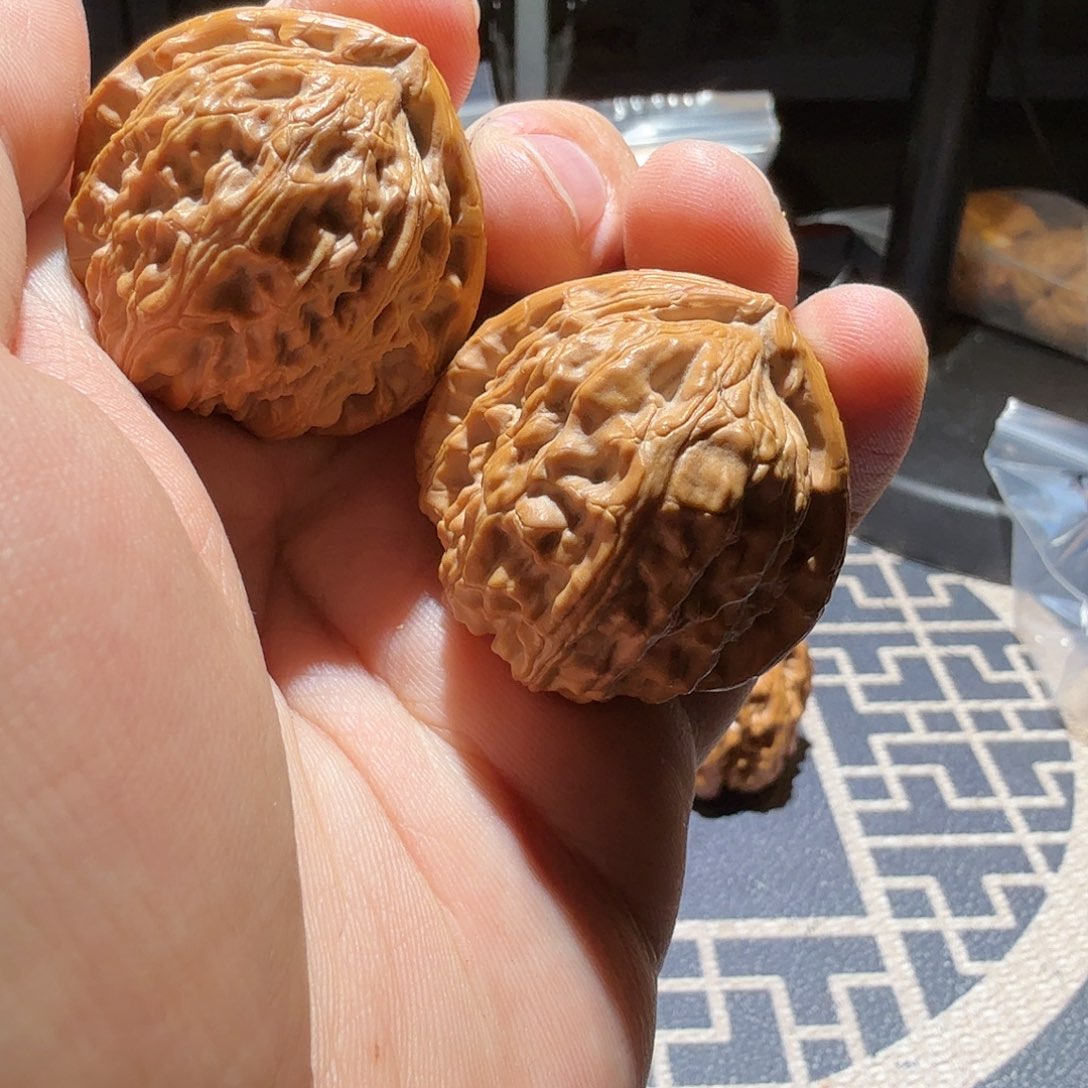 文玩核桃把件三角白