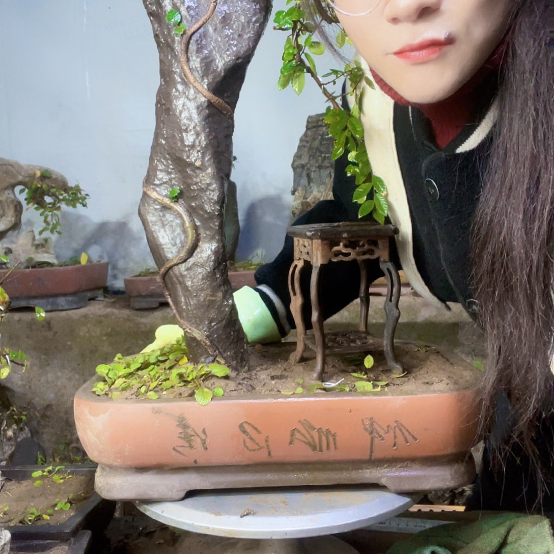 心***念无花朵花直播间不见不散