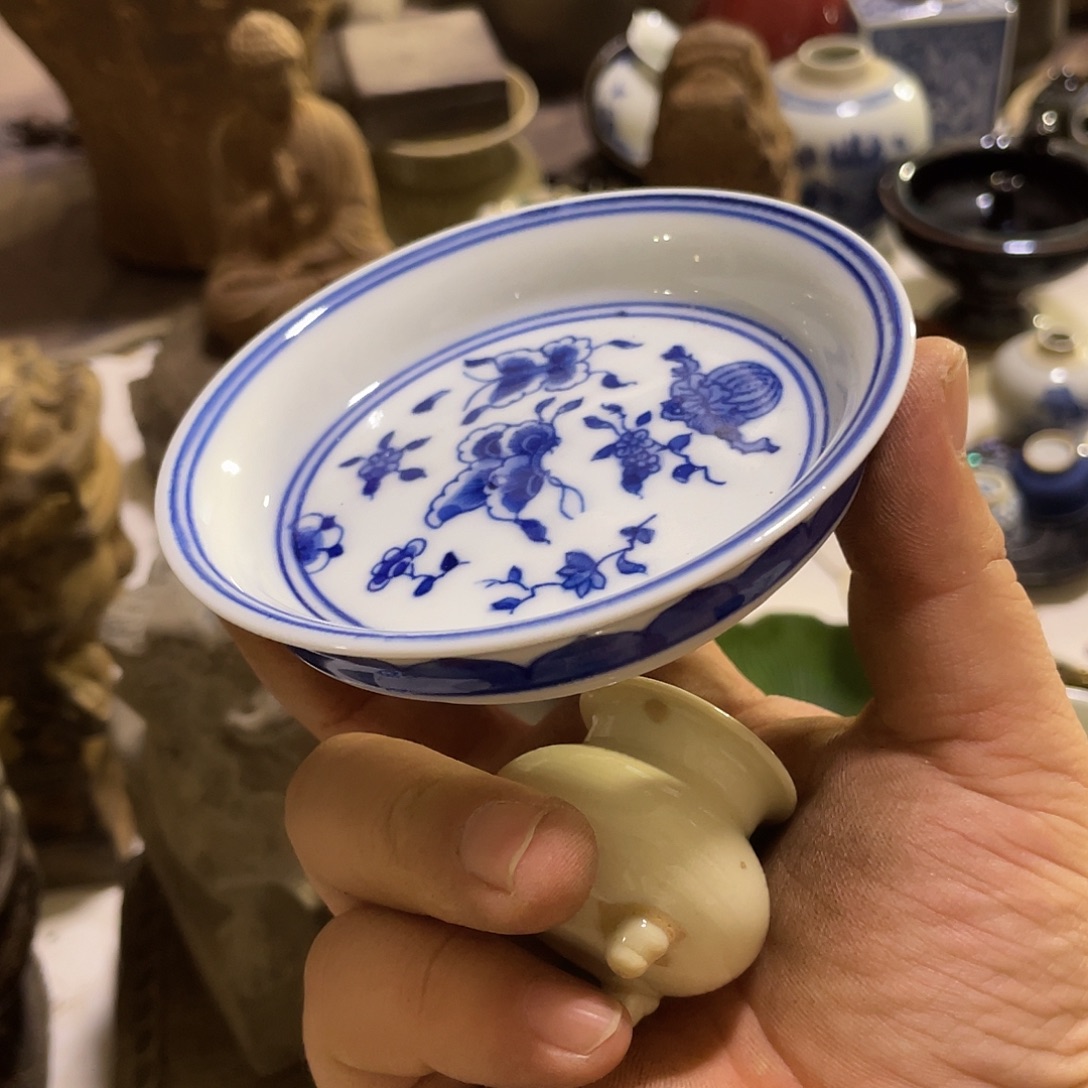 迷***鹿我们的生活方式是