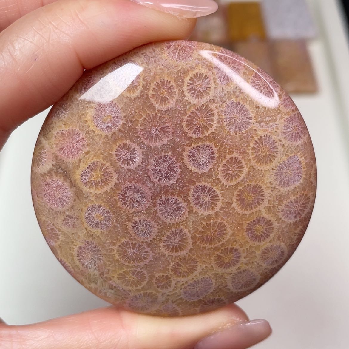 【闪购商品】未镶嵌吊坠(赠链)硅化玉