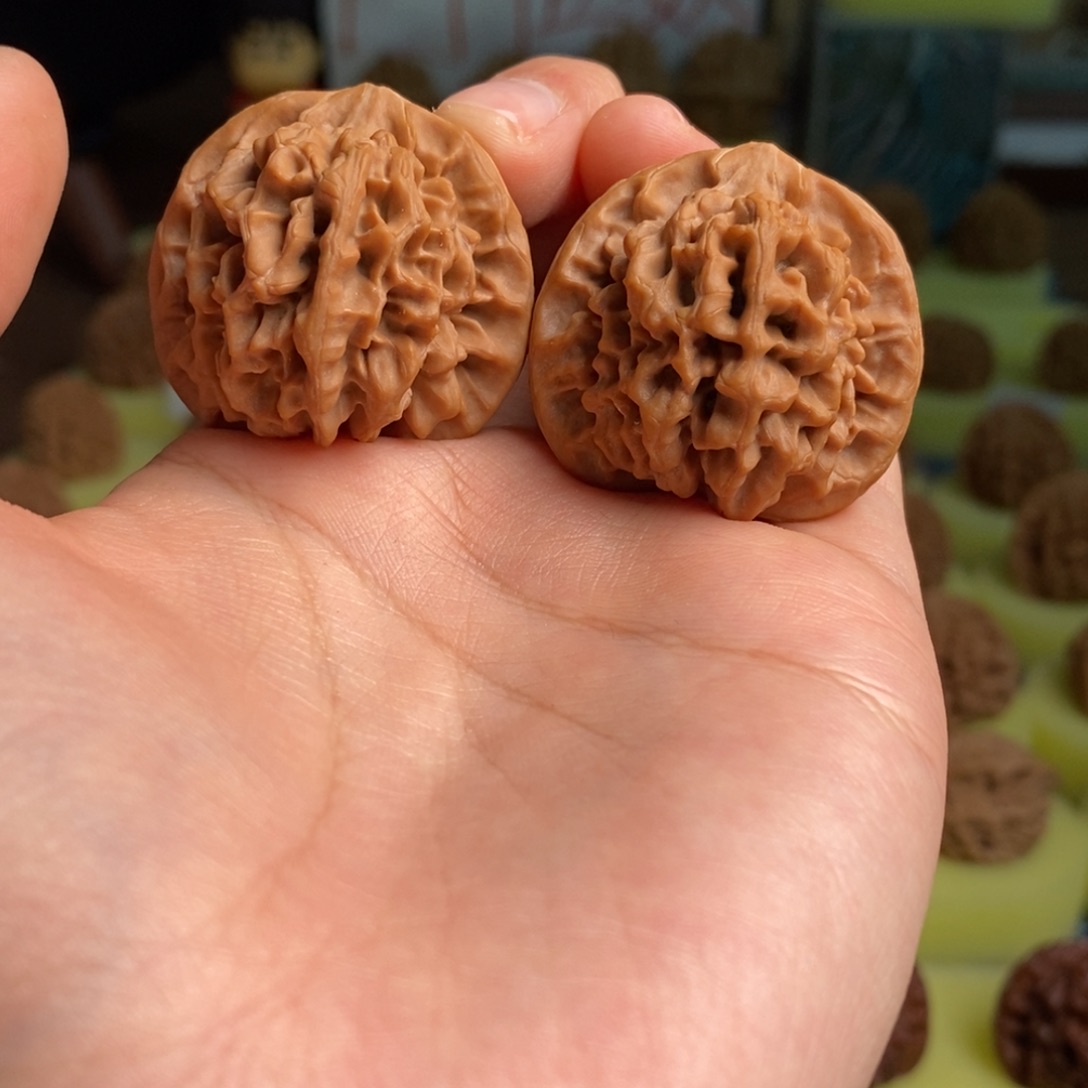 核桃秦岭闷尖狮子头34磕