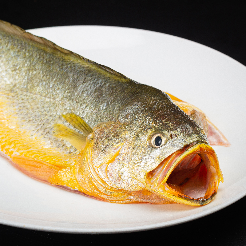 宁德深海三去黄鱼产地直发三条400g装