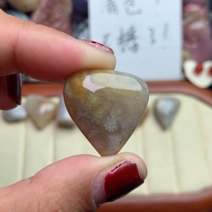 硅化珊瑚（珊瑚玉）颈饰未镶嵌