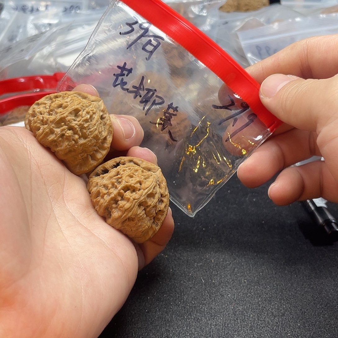 花***菜把件文玩核桃白狮子