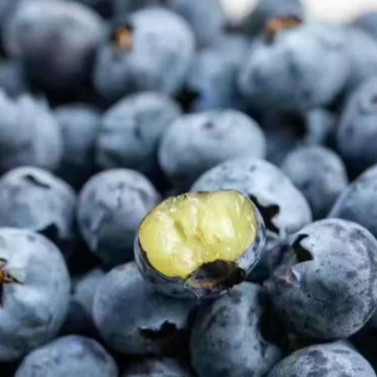 脆甜花香蓝莓1盒（125克/盒，14mm-18mm）云南省