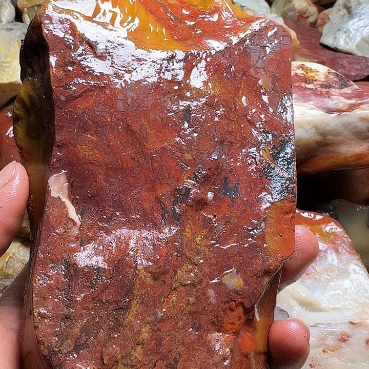 水***人寿山石寿山石的种类