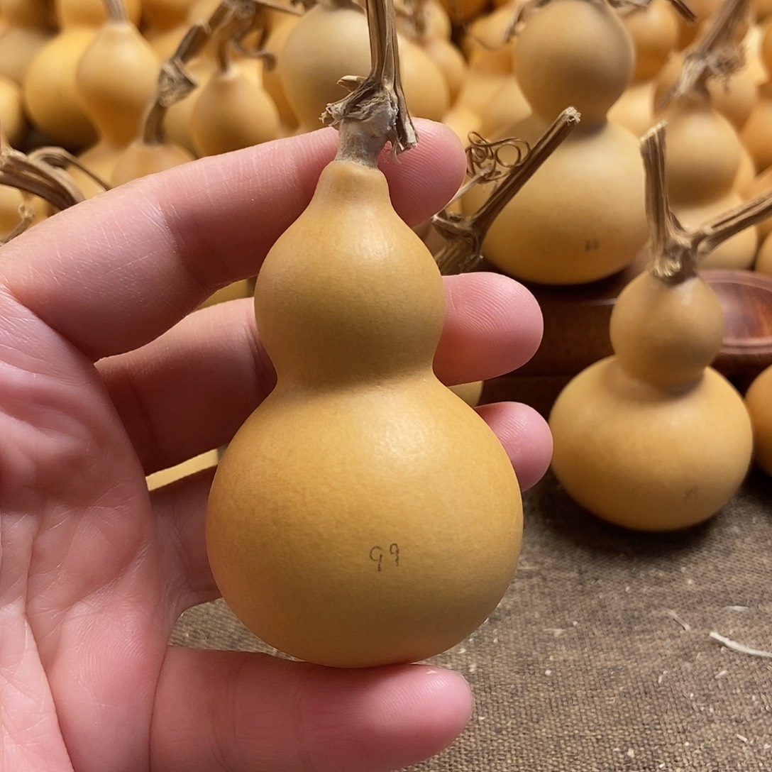 文玩葫芦 完美主义者 慎拍99