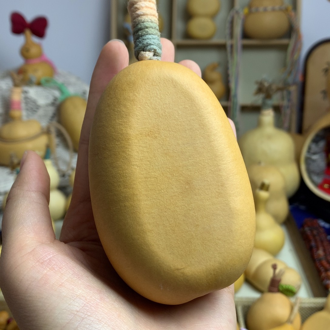 葫芦5号冬瓜厚扁扁