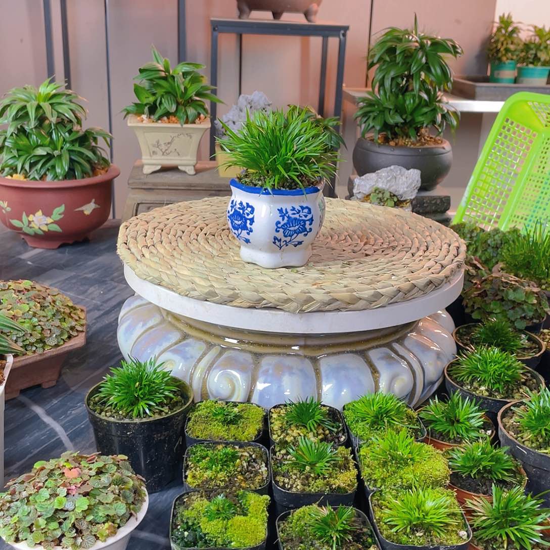 【闪购商品】完全开放