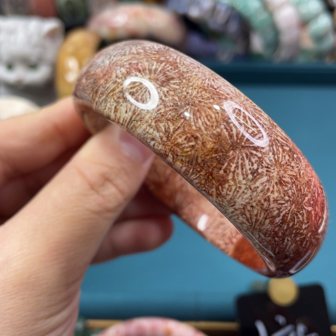 未镶嵌手镯硅化玉