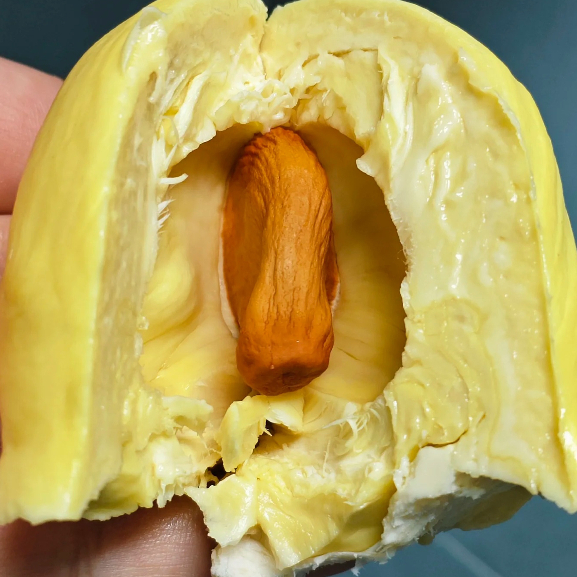 【榴步】新鲜金枕榴莲纯果肉1-3斤（核大小不一）金枕泰国