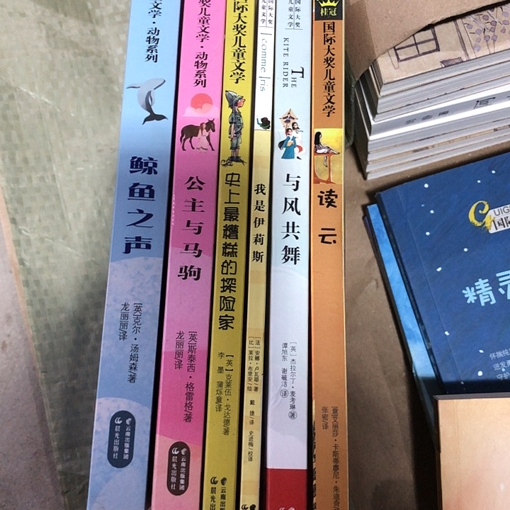 国际桂冠大奖，第一波少华丽宫殿