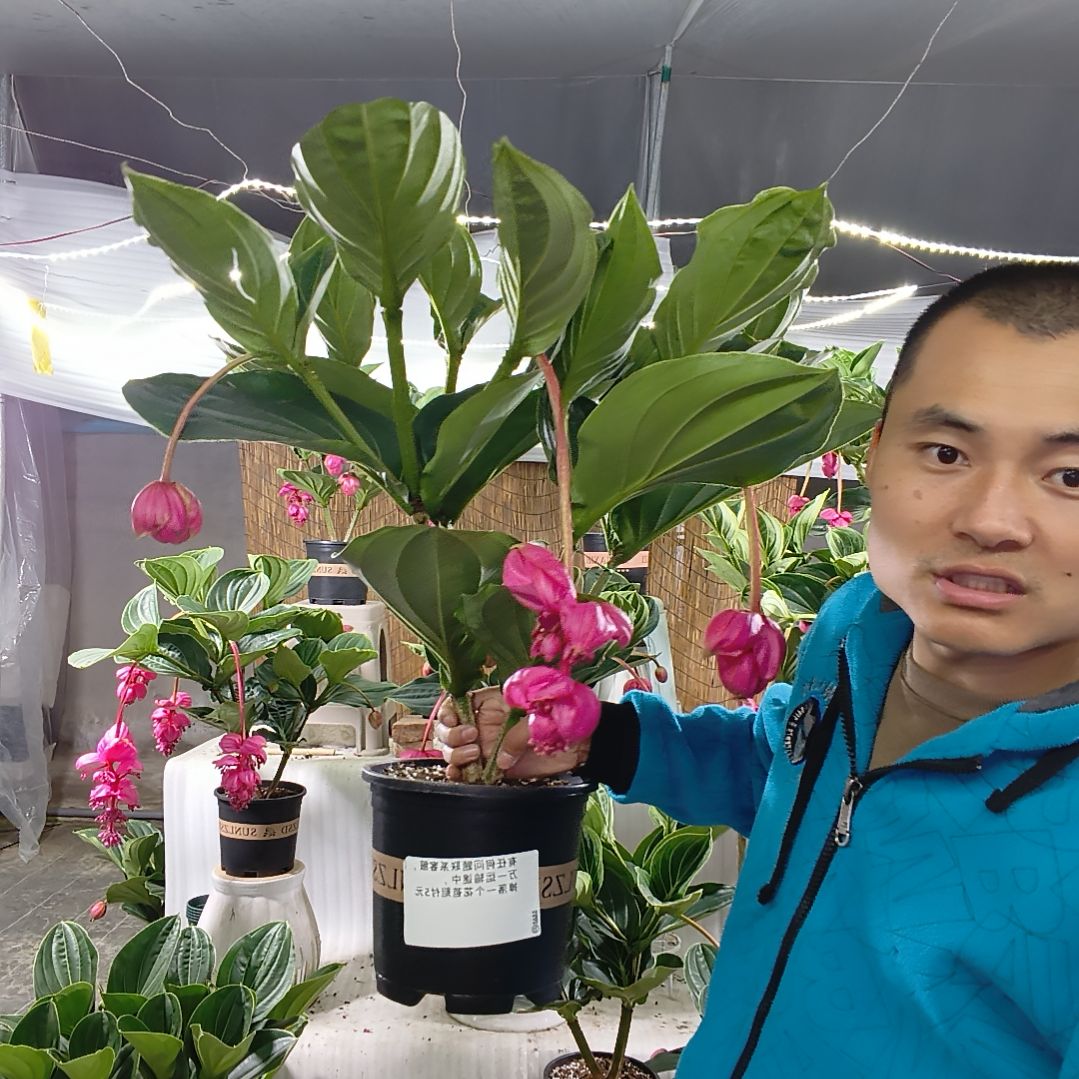 完全开放12345678