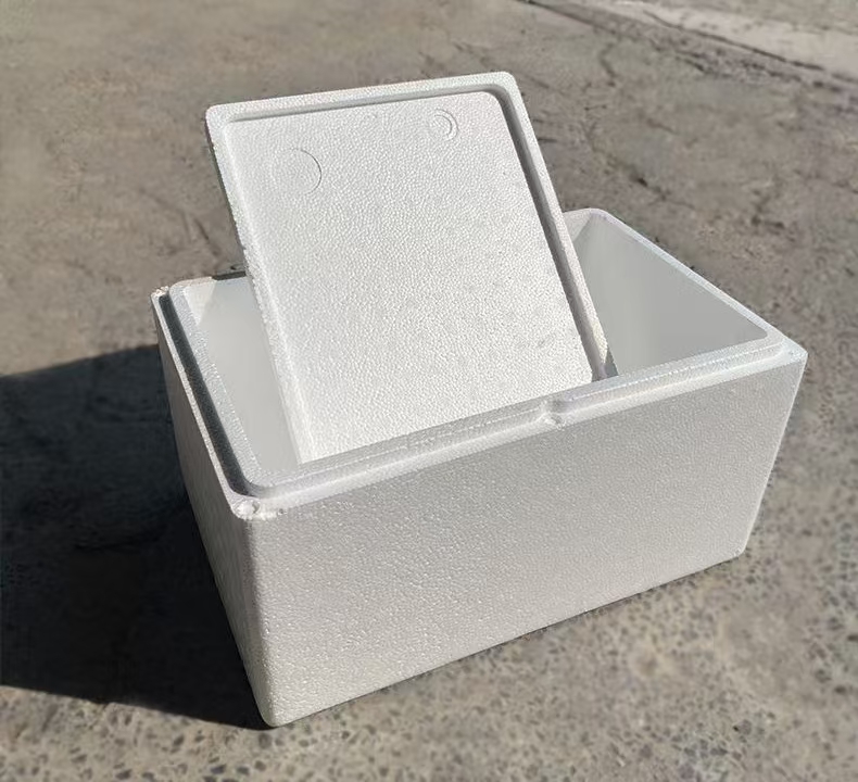 快递陆运加厚耐用保温泡沫箱保护鱼儿安全到家