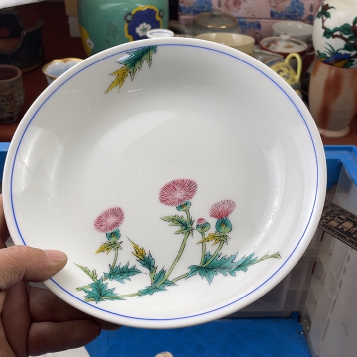 碟开播了开播了开播了