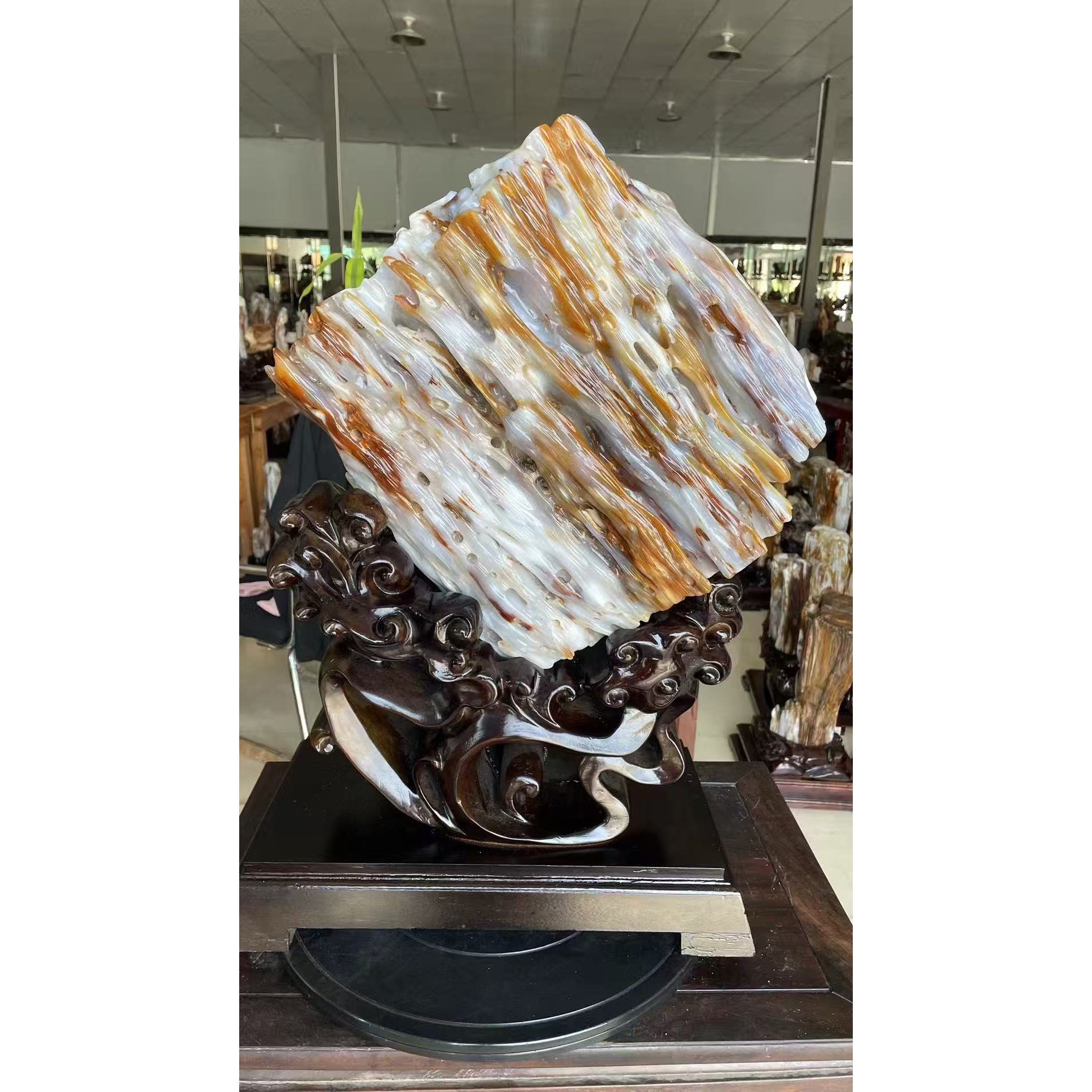 缅甸树化玉 树化石木化石硅化木案台奇石收藏摆件 蒸蒸日上240405