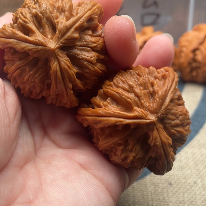 瑞***业核桃白狮子43核桃