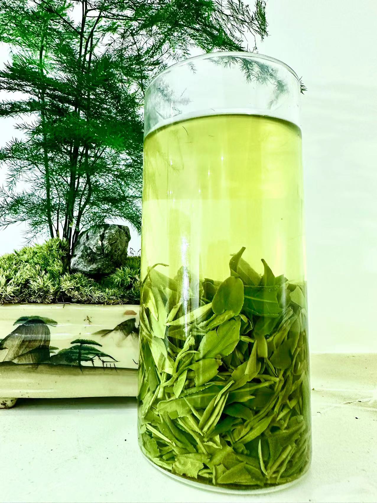 （2025年新茶）宝峰·信阳核心产区高山早春大叶茶袋装