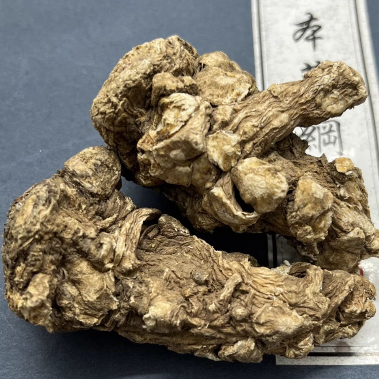 云南土特产——当归头【整个】