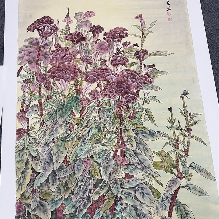 竖款古*师晚上好呀，惊喜连连