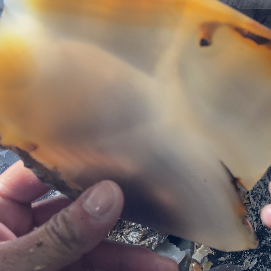 定制玛瑙星*定制玛瑙