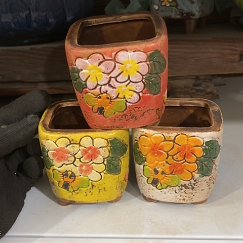 【闪购商品】红陶1