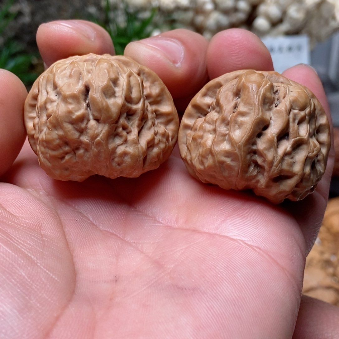 文玩核桃把件蛤蟆头38