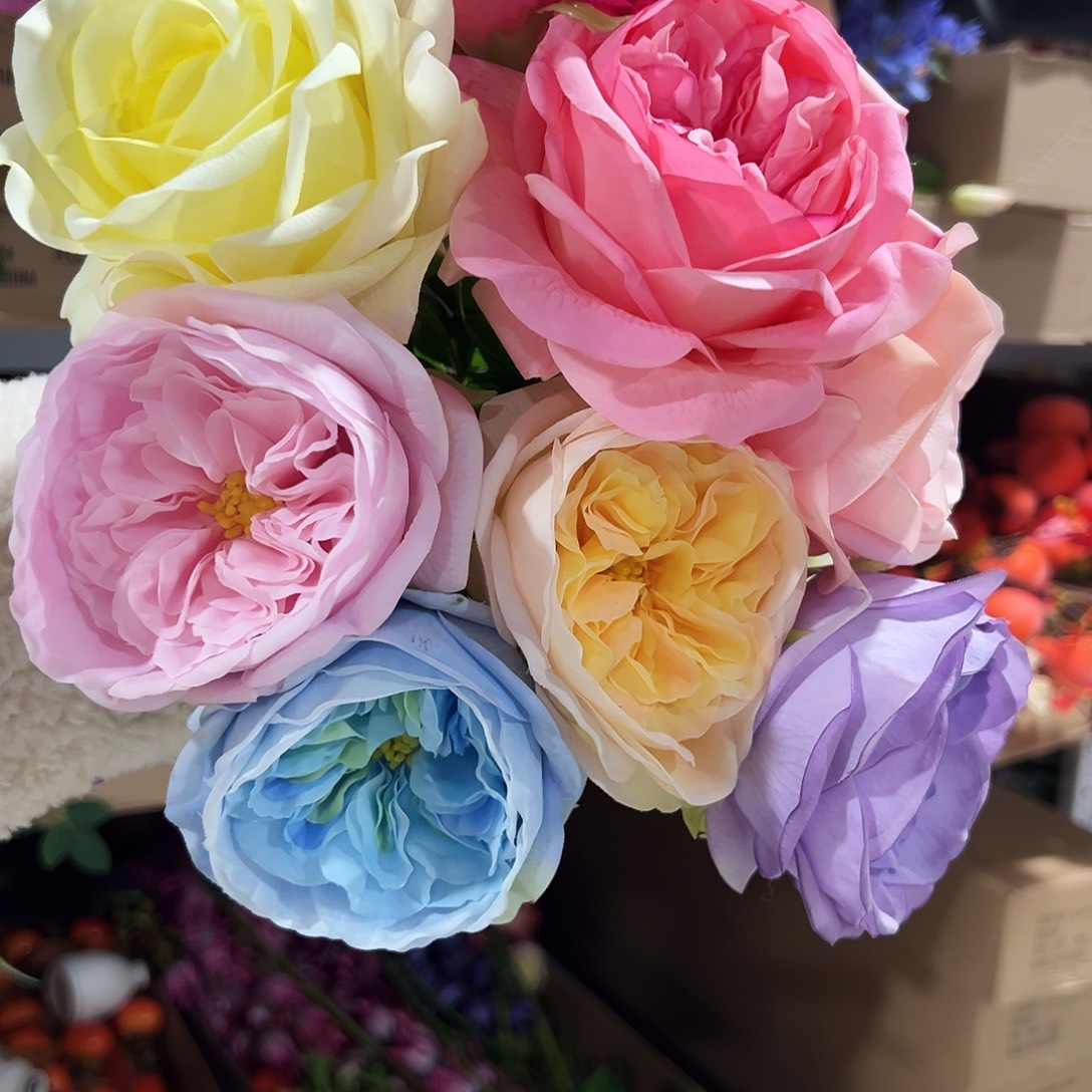 8枝玫瑰花。           