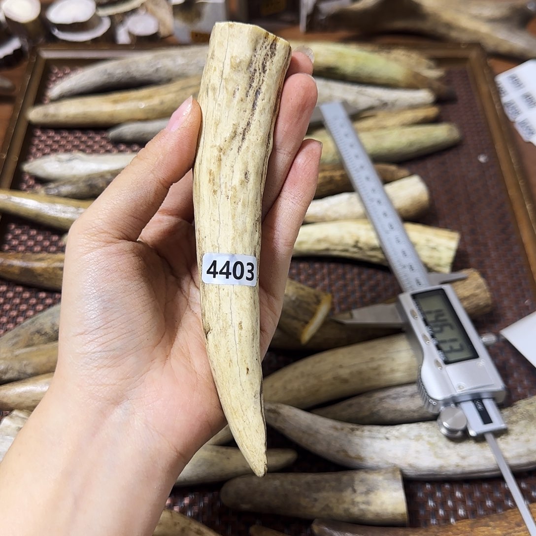 手串/手链鹿骨4403角尖