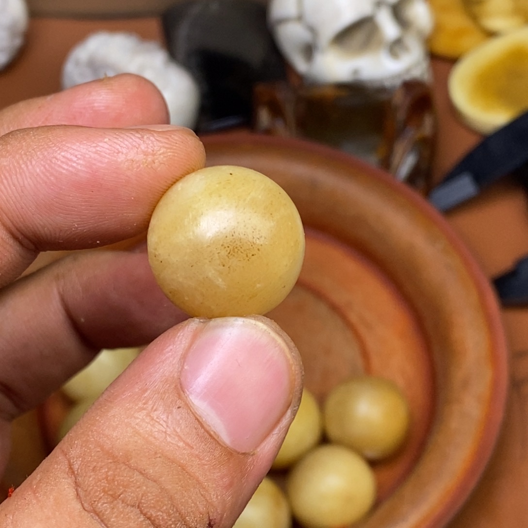 其他驼骨人工样子