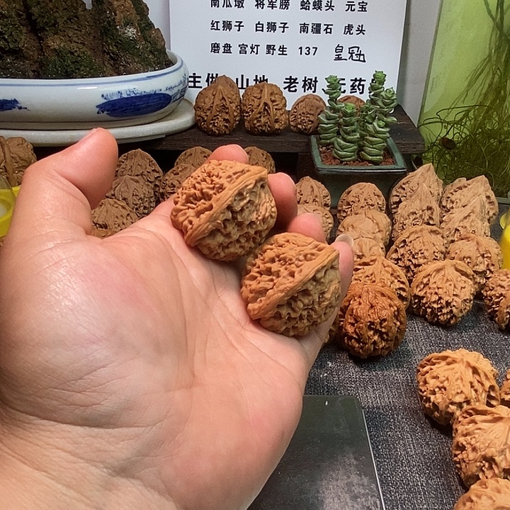 逗****核桃全品无修无药南疆41