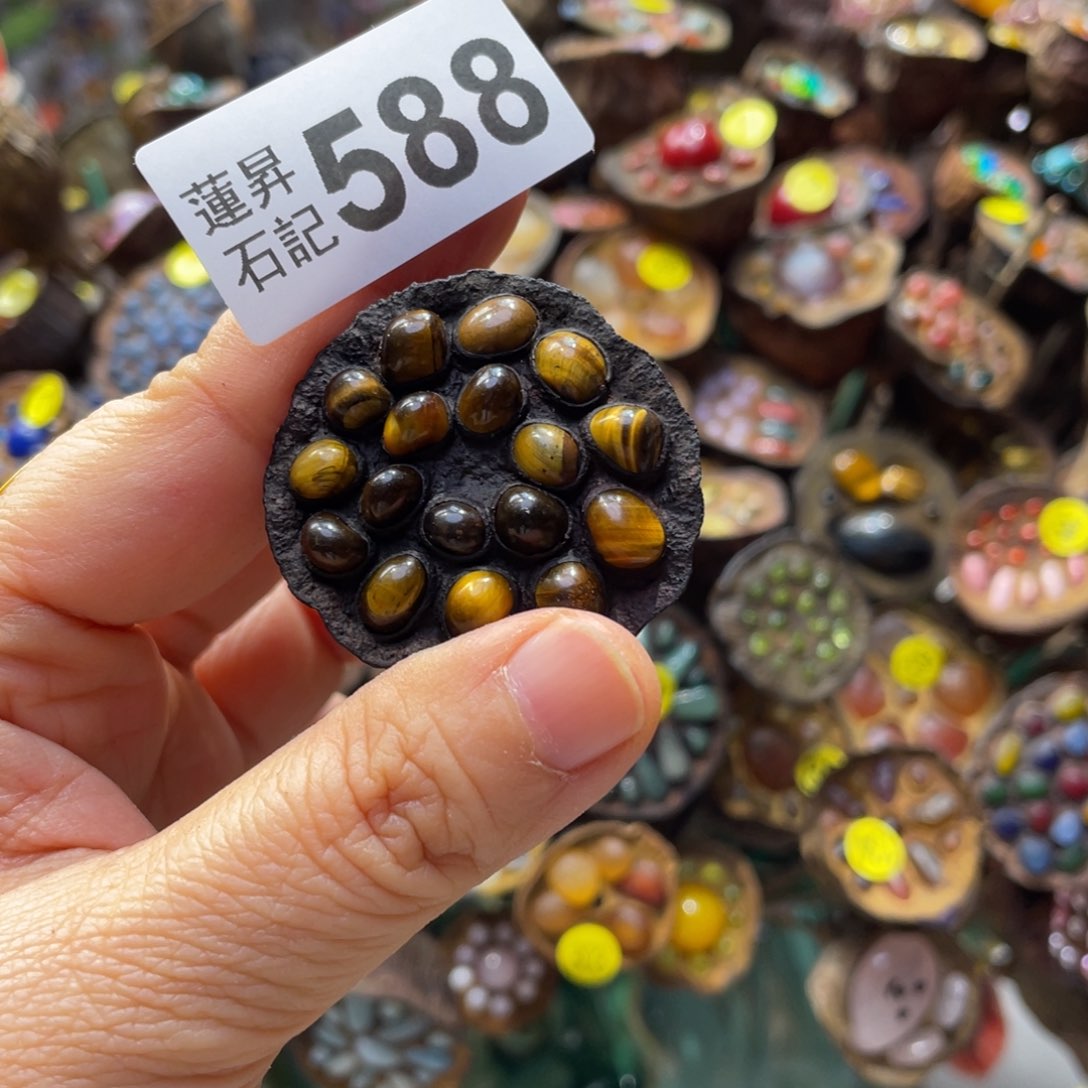 核桃木/黑胡桃（胡桃木）无***贝588