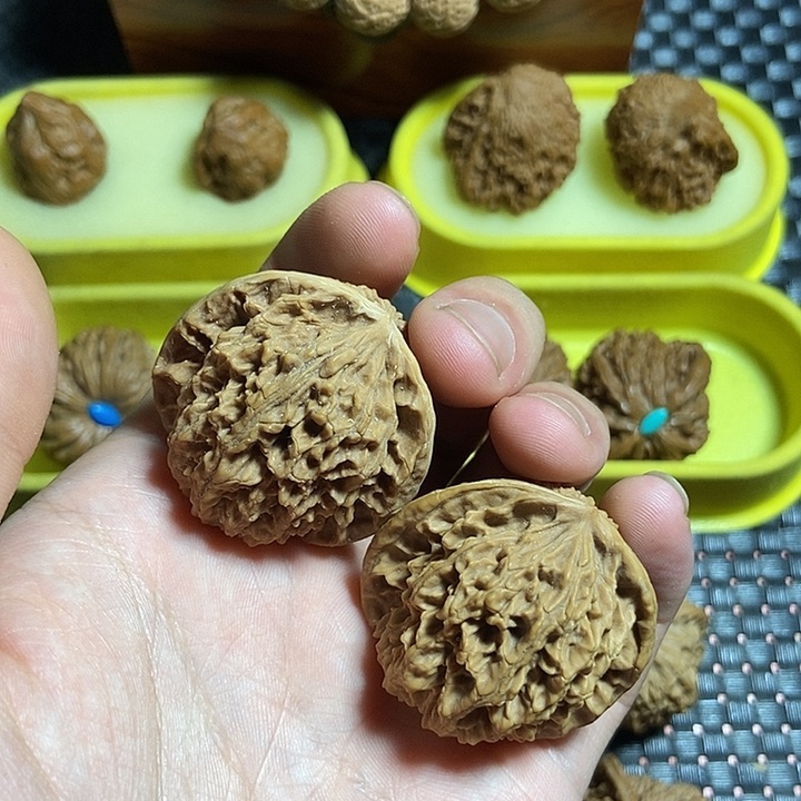 文玩核桃把件蟠龙纹