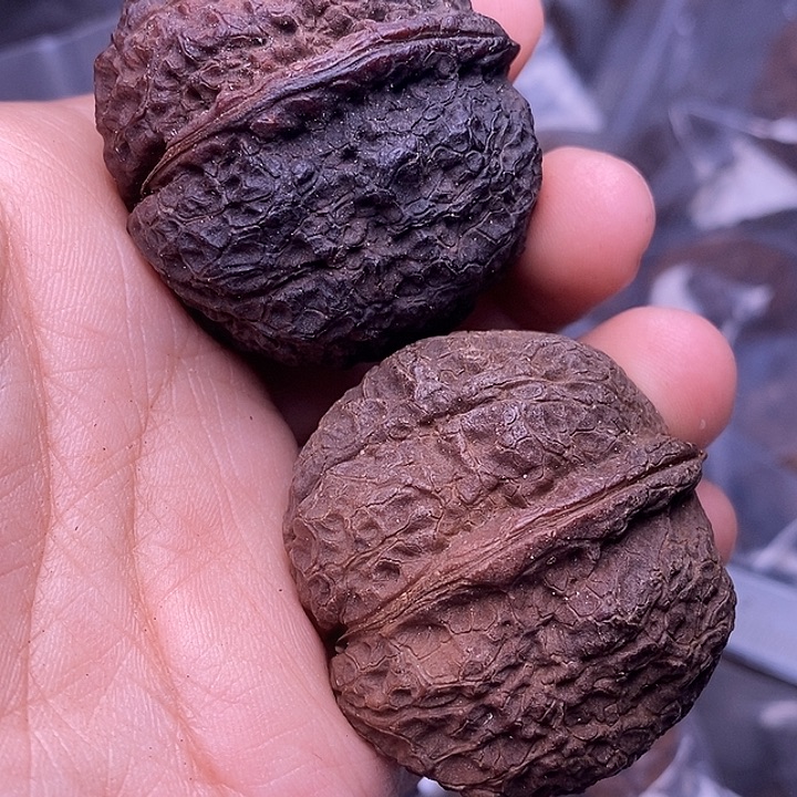 把件文玩核桃   186